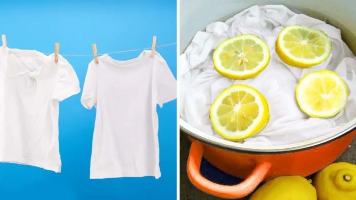 5 Astuces Pour Blanchir Le Linge Sans Utiliser D Eau De Javel