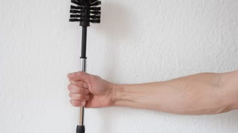 Changer La Brosse Des Toilettes Voici Quelle Fr Quence Vous Devriez