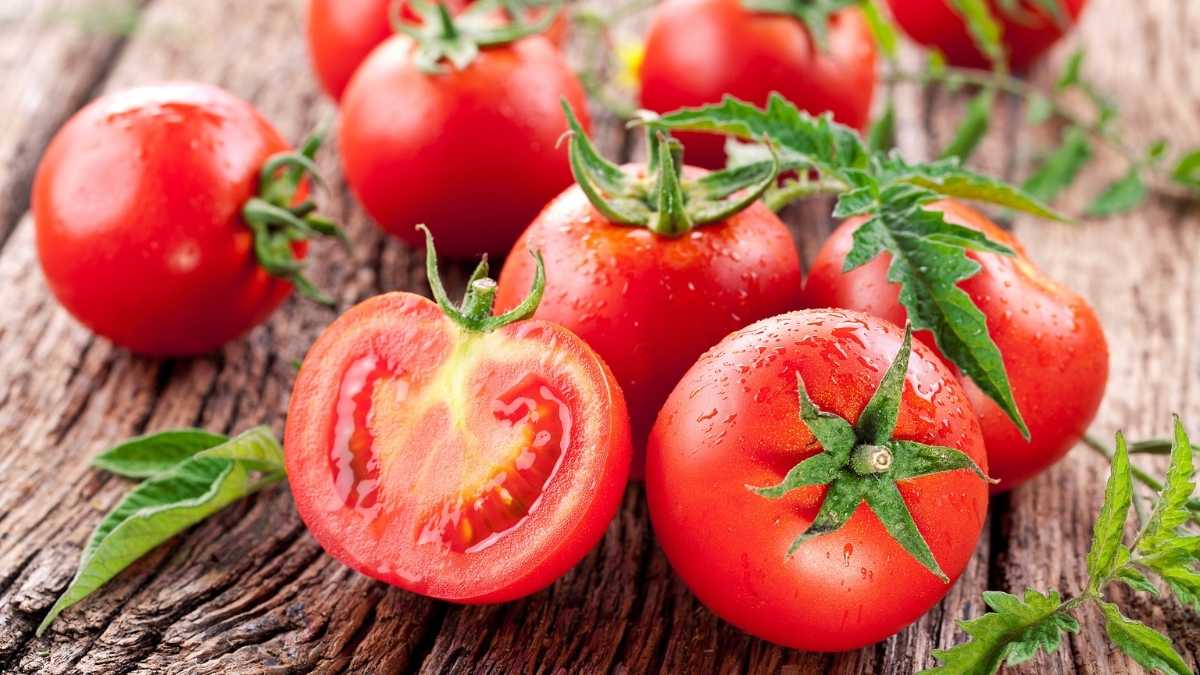 Comment conserver les tomates