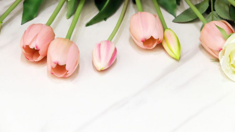 comment conserver les tulipes