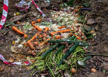 Comment réduire les déchets alimentaires