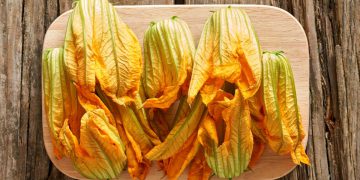 Comment conserver et congeler les fleurs de courgette