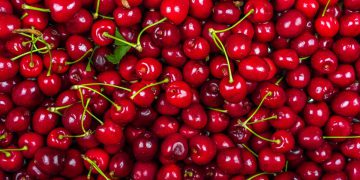 Comment conserver les cerises