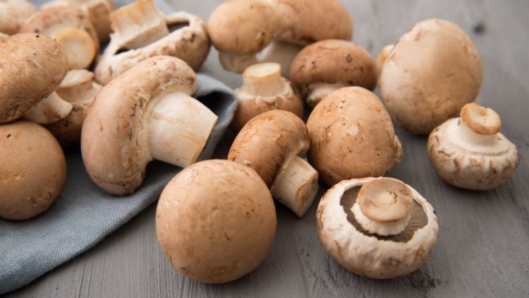 Comment Conserver Les Champignons Frais - Astuces Et Conseils - Comment ...