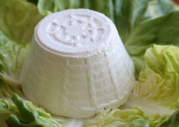 Comment conserver la ricotta