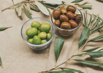 Comment conserver les olives dans le sel et l'eau