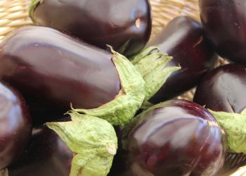 Comment déshydrater des aubergines