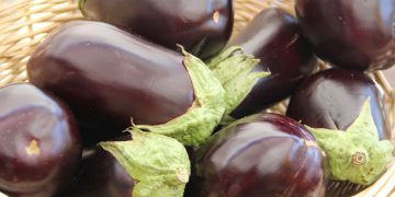 Comment déshydrater des aubergines