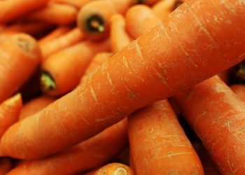 Comment déshydrater les carottes