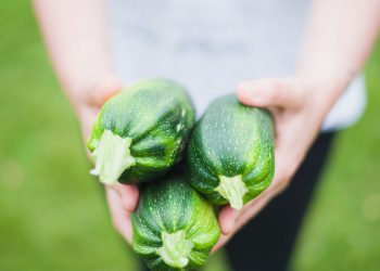 Comment déshydrater les courgettes