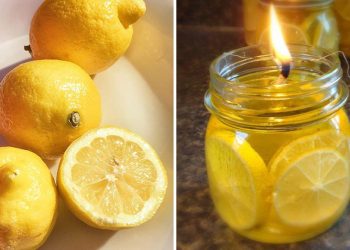 Comment faire une bougie le citron