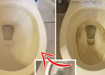 Comment parfumer et blanchir ses toilettes en 5 secondes