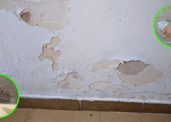 Comment se débarrasser du salpêtre sur les murs