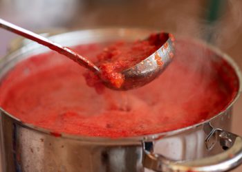 Purée de tomates maison