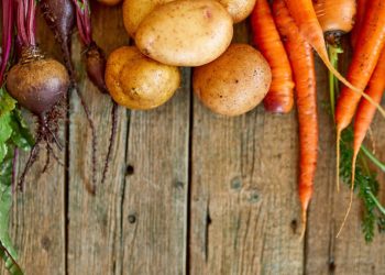 Comment faire ses conserves de légumes