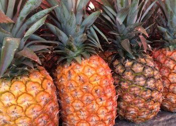 Les bienfaits de l'ananas sur la cellulite