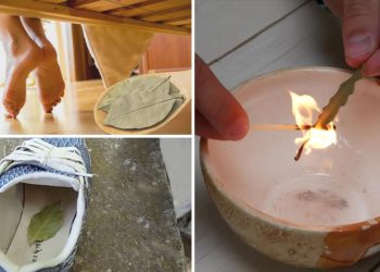 Rituels pour se purifier de toutes les énergies négatives