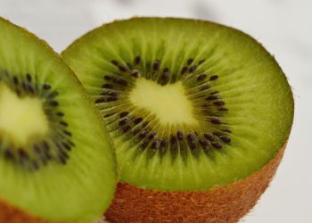 Variétés de kiwi