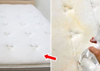 2 astuces efficaces pour blanchir matelas et oreillers