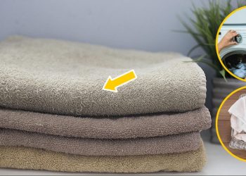 Astuce de grand-mère pour garder vos serviettes douces