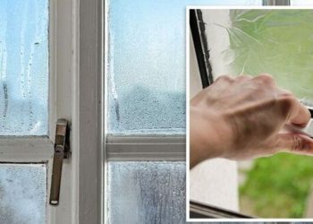 Formation de la condensation sur les fenêtres d’une chambre à coucher : quelques solutions simples