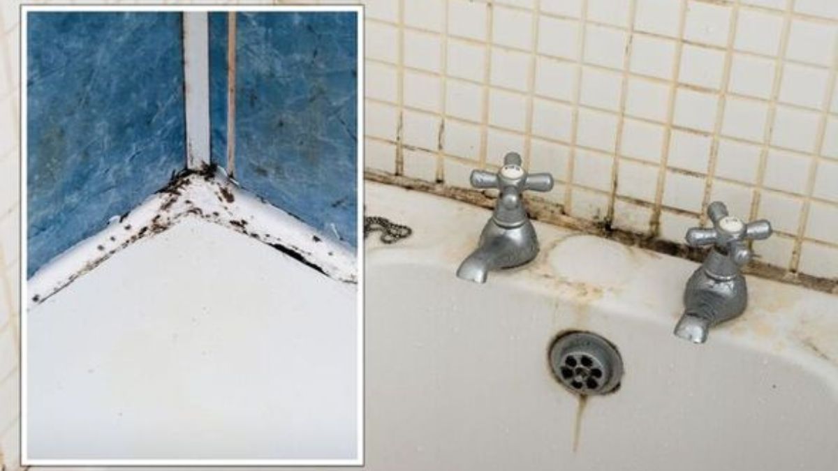 L’astuce du siècle pour éliminer les moisissures du mastic dans la douche
