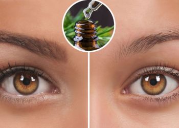 4 huiles pour des sourcils plus épais