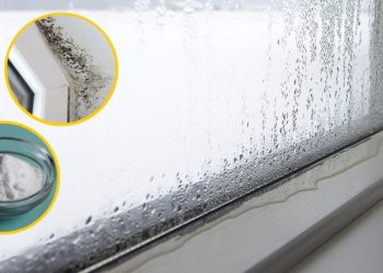 5 astuces pour supprimer la buée des vitres et la condensation