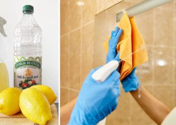 Astuce efficace pour laver les vitres sans effort et sans traces