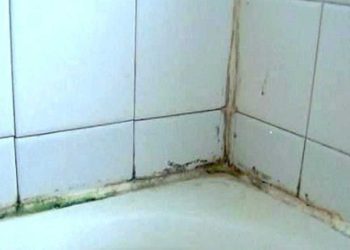 Comment éliminer les moisissures du calfeutrage de votre salle de bain ?