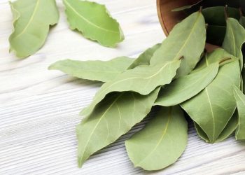 Comment utiliser les feuilles de laurier dans la maison