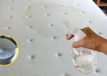 Recette DIY spray désinfectant pour matelas