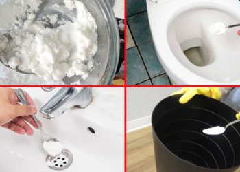 9 astuces pour garder sa salle de bain parfaitement propre et brillante