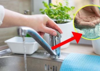 Astuces et conseils pour optimiser la consommation d’eau à la maison