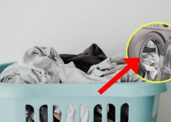 Astuces pour laver le linge de manière économique et pour protéger notre planète