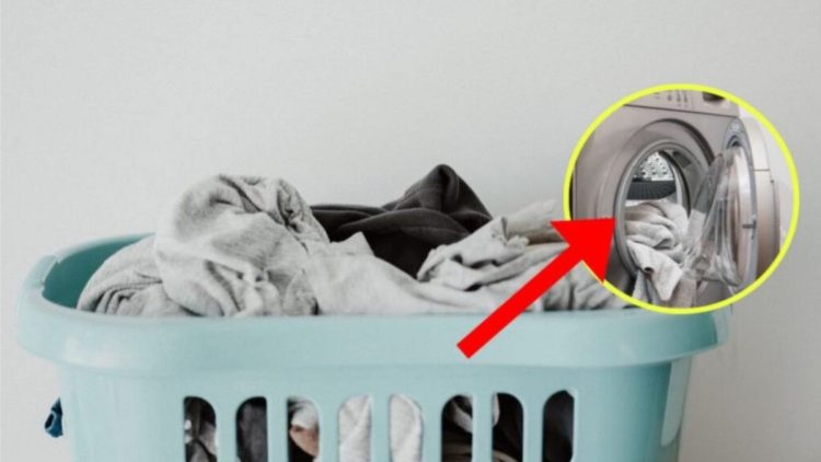 Astuces pour laver le linge de manière économique et pour protéger notre planète