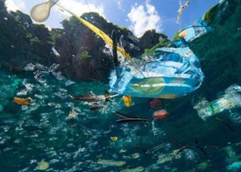 Pollution plastique des océans