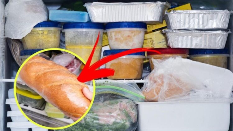 Quels sont les aliments à ne pas congeler
