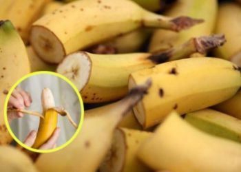 Raisons de ne pas jeter vos peaux de banane