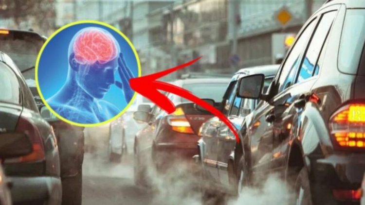 Une nouvelle étude révèle que la pollution de l’air altère aussi le cerveau