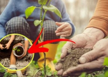 Voici pourquoi nous recommandons le jardinage avec les enfants