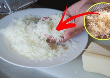 Astuces pour bien conserver le fromage râpé