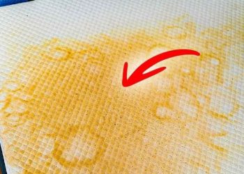 Comment nettoyer une tâche d'urine sur un matelas ?