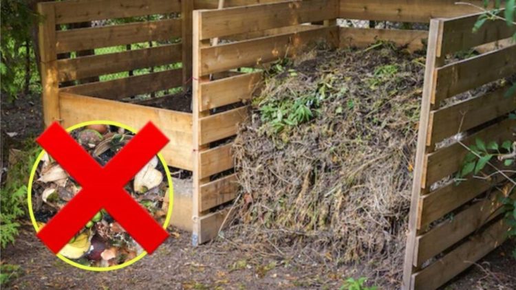 Déchets à ne jamais jeter dans son composteur