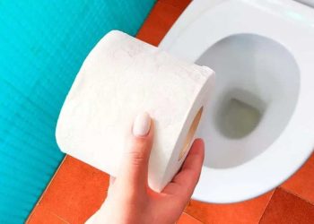 Jetez-vous les rouleaux de papier toilette et les serviettes hygiéniques dans les toilettes ? C’est une grande erreur