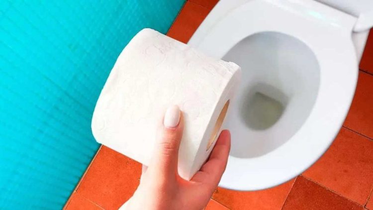 Jetez-vous les rouleaux de papier toilette et les serviettes hygiéniques dans les toilettes ? C’est une grande erreur