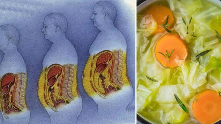 Le régime soupe