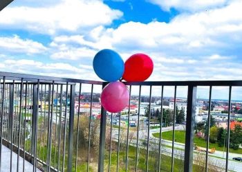 5 répulsifs maison pour chasser les pigeons de votre balcon