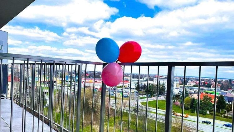 5 répulsifs maison pour chasser les pigeons de votre balcon