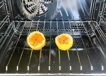 Comment éloigner les moustiques : trucs et produits qui fonctionnent!